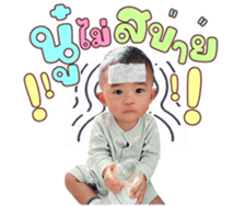 614530017