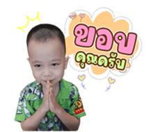 614530247