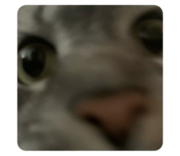 614545069
