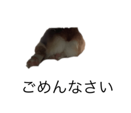 614574018