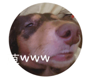 614576193