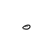 614613507