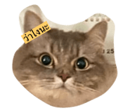 614629355