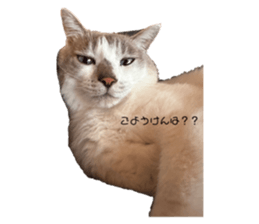 614629994