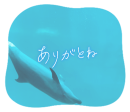 614648452