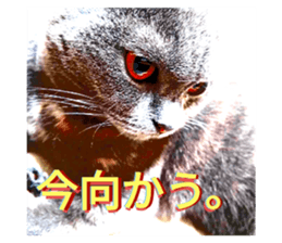 614750359