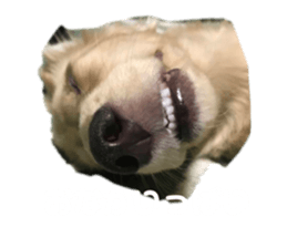 614866538