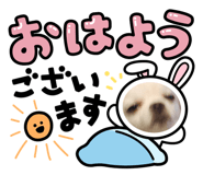 614943605