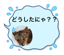 614951438