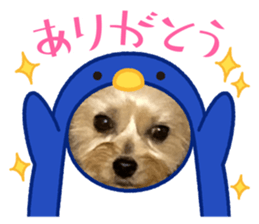 615021712