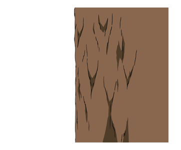 ลายที่ 41