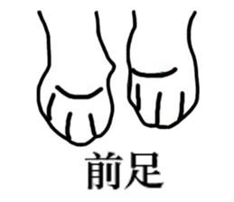 6151232