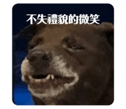 615191833