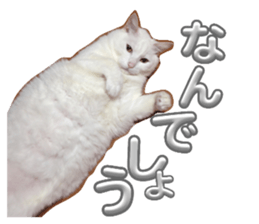 615230033
