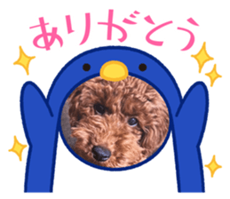 615329920