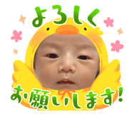 615329972
