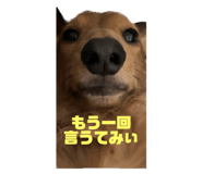 615398282