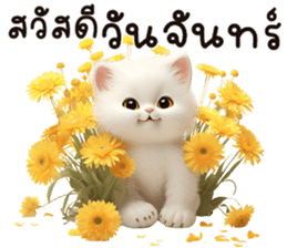 สติกเกอร์ 615475502