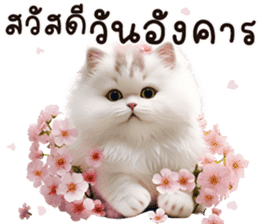 สติกเกอร์ 615475503