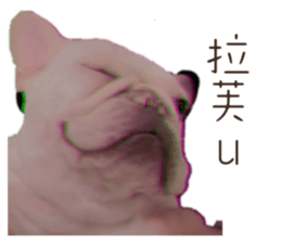 615490293