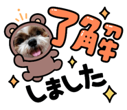 615496364