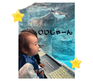 615562796