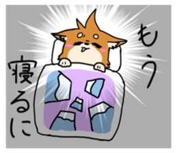 615572269