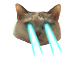 615656600