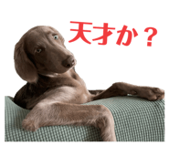 615728405