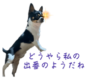 615728434