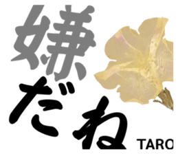 615772819