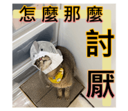615780400