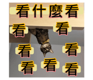 615780401