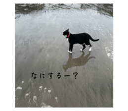 615811848