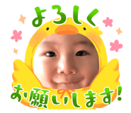 615849504