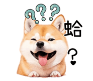 615913856