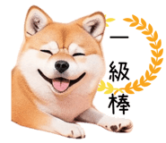 615913858