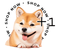 615913860