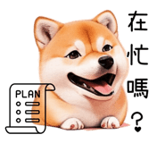 615913867