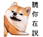 615913882