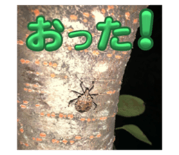 615925064