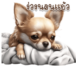 615930521