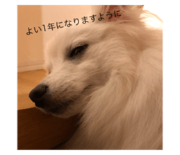 615974324