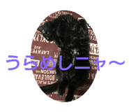 616130617