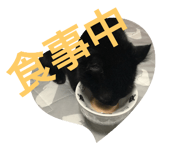 616130618