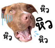 616156654