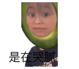 616237724