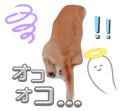 616267235