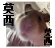 616272270
