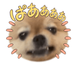 616379963